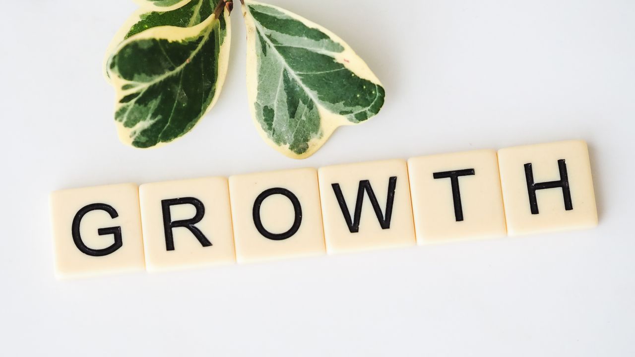 services-01 Close-up image of Scrabble tiles spelling 'Growth' with green leaves on a white background.